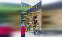 正能量图文最新热门爆料,揭秘最新热门爆料，传递温暖与希望